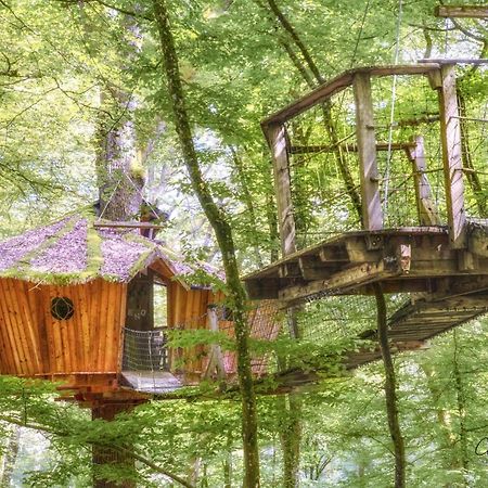 L'Arbre A Cabane Guyonvelle Exteriör bild