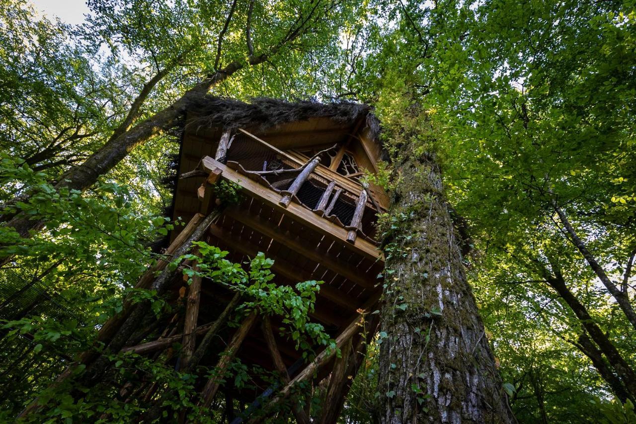 L'Arbre A Cabane Guyonvelle Exteriör bild