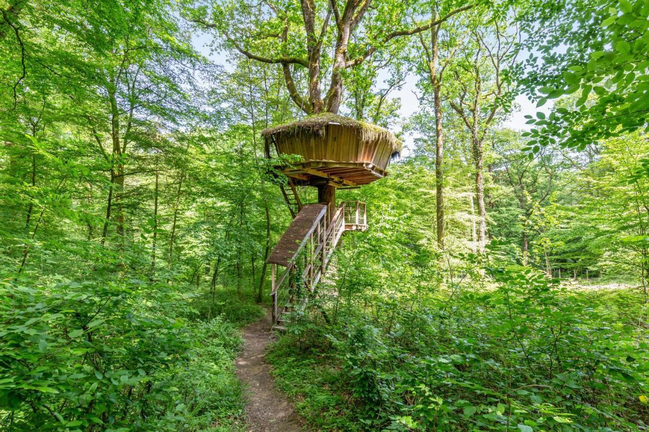 L'Arbre A Cabane Guyonvelle Exteriör bild