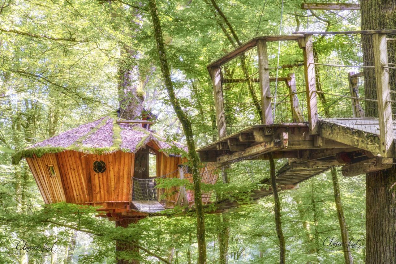 L'Arbre A Cabane Guyonvelle Exteriör bild