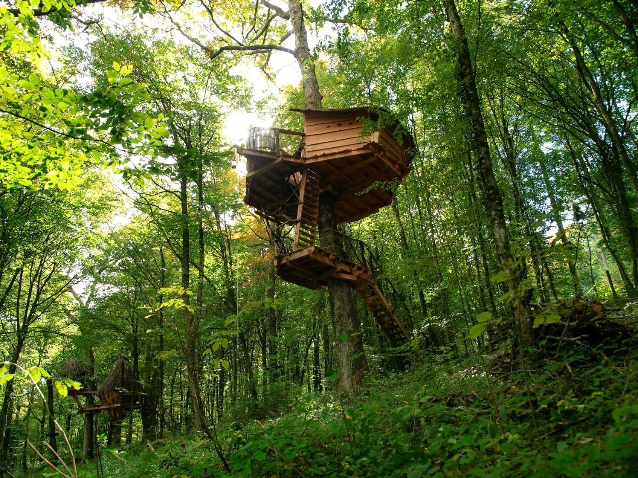 L'Arbre A Cabane Guyonvelle Exteriör bild