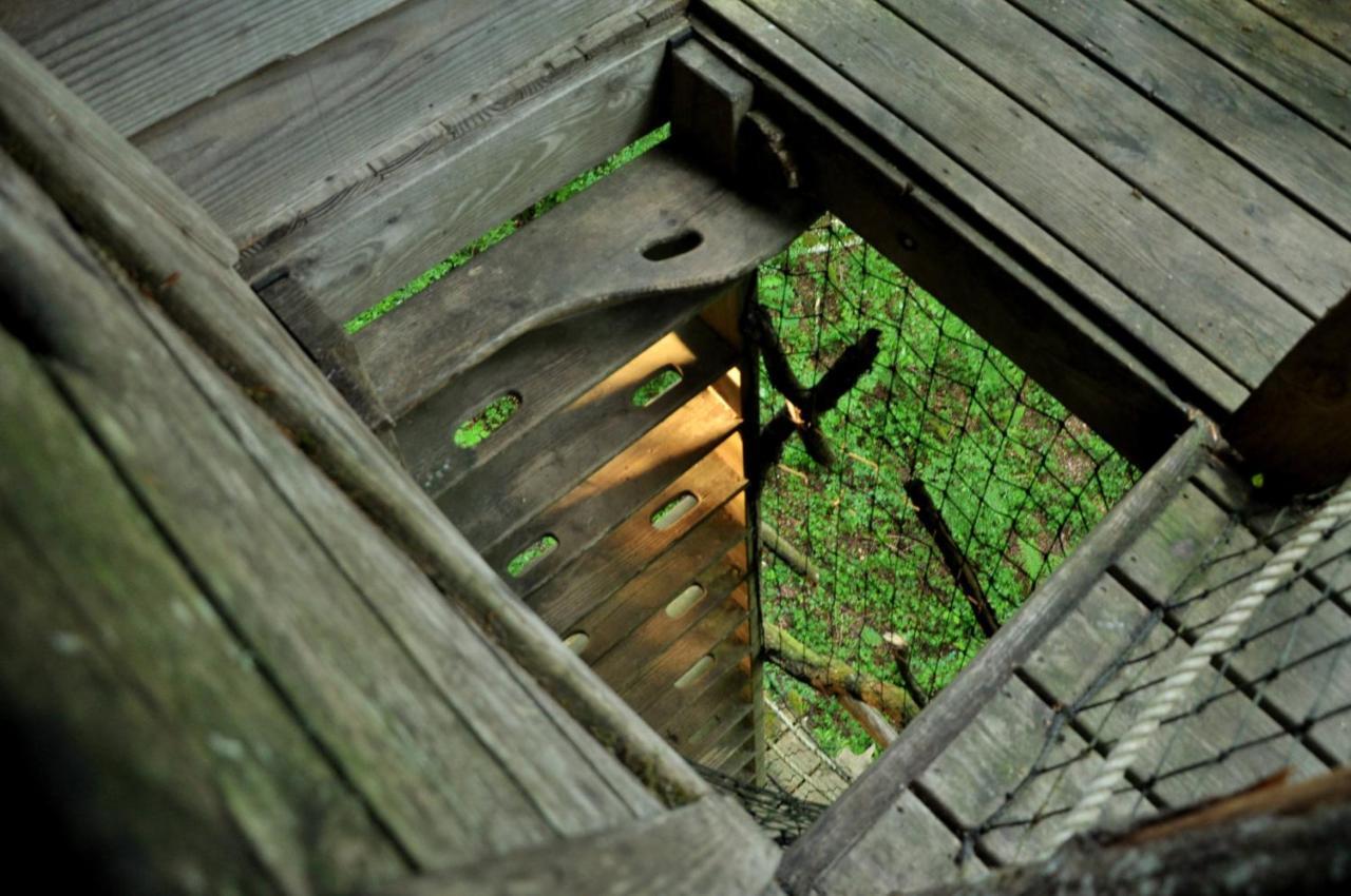 L'Arbre A Cabane Guyonvelle Exteriör bild