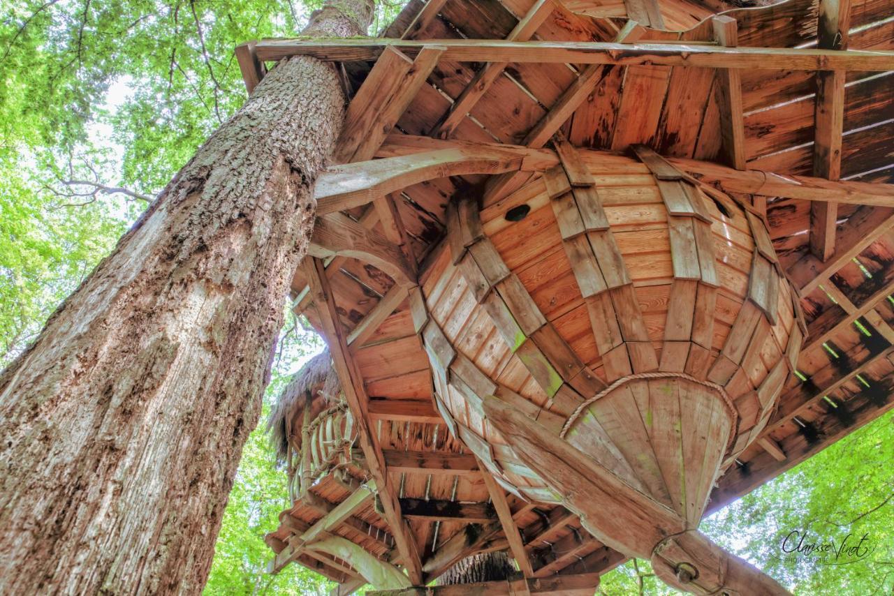 L'Arbre A Cabane Guyonvelle Exteriör bild